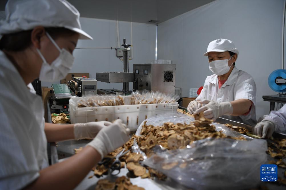 百家了庄闲技巧赌必胜